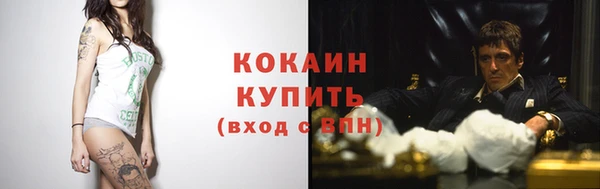 винт Липки