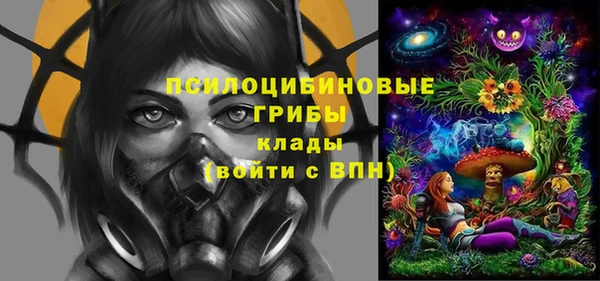 винт Липки