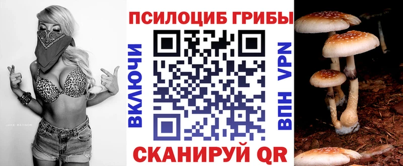 Купить где  Зарайск  Псилоцибиновые грибы GOLDEN TEACHER 